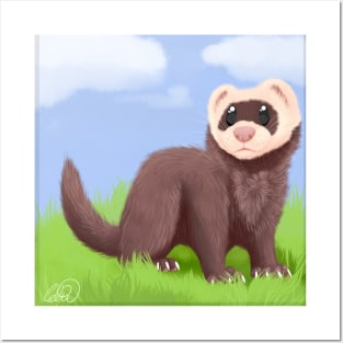 Ferret in the grass Posters and Art